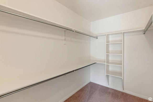 888 S Mallard Loop W, Logan, UT 84321 - spacious closet featuring carpet flooring