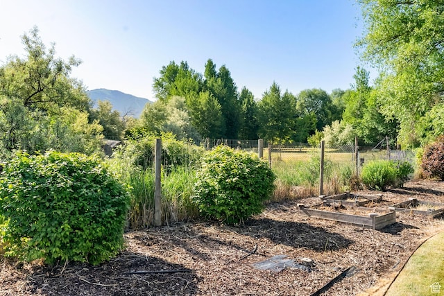 888 S Mallard Loop W, Logan, UT 84321 - view of yard with a garden and a mountain view