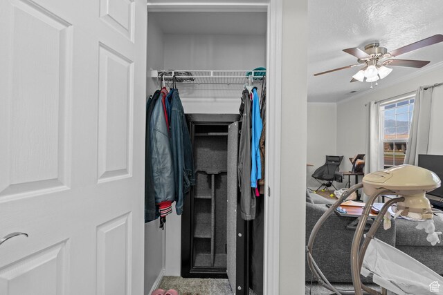 632 W 100 N, Spanish Fork, UT 84660 - view of closet