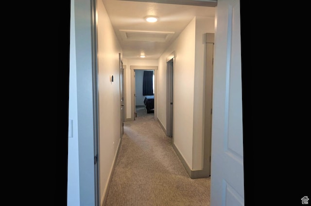 1991 Redtail Cir, Wellsville, UT 84339 - corridor with light carpet and attic access