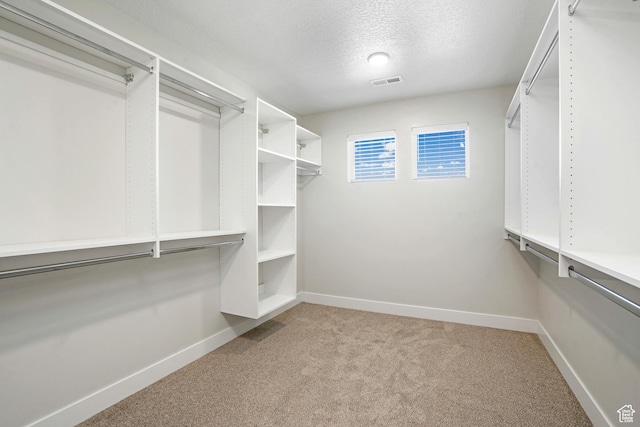 427 N High Ridge Rd Unit 1623, Saratoga Springs, UT 84045 - walk in closet featuring light carpet