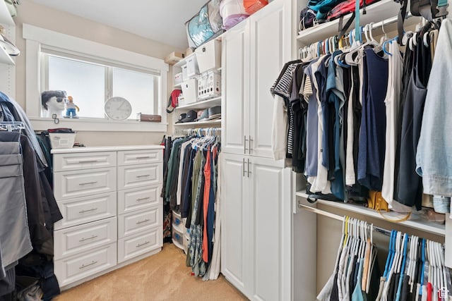 3231 E Lantern Hill Ct S, Cottonwood Heights, UT 84093 - walk in closet with light carpet