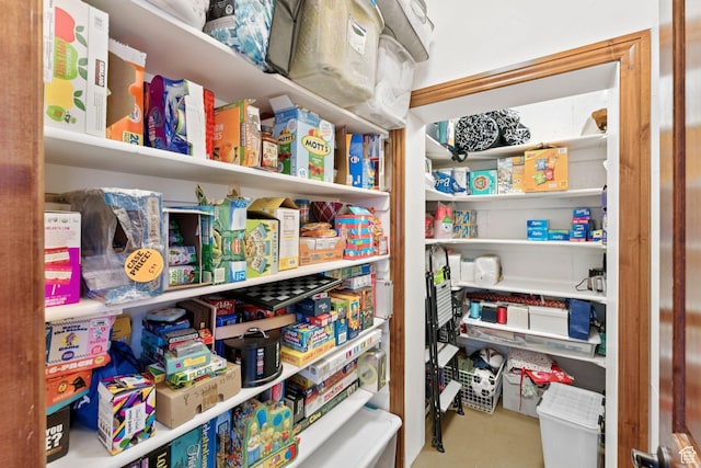 3231 E Lantern Hill Ct S, Cottonwood Heights, UT 84093 - view of storage area