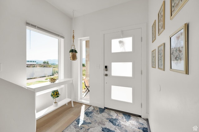 672 E 730 N Unit 25, Hyrum, UT 84319 - entrance foyer with wood finished floors