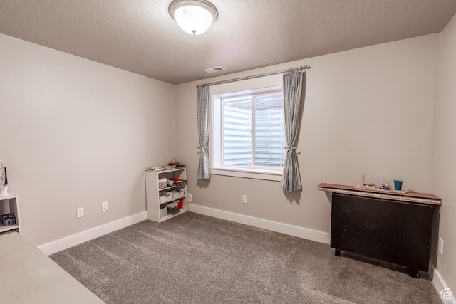 16 N 1000 E, Hyde Park, UT 84318 - rec room featuring carpet flooring and a textured ceiling