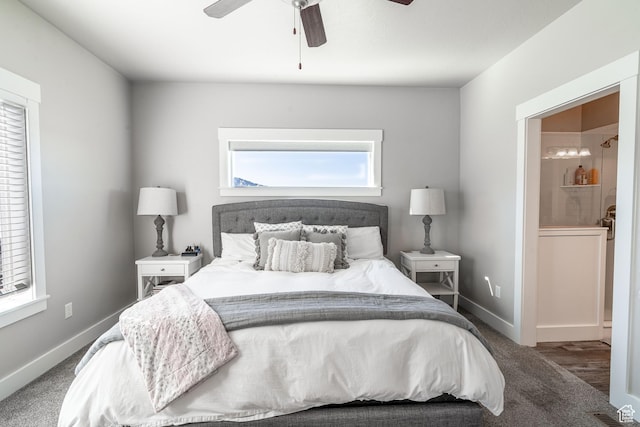 16 N 1000 E, Hyde Park, UT 84318 - bedroom featuring carpet, connected bathroom, and a ceiling fan