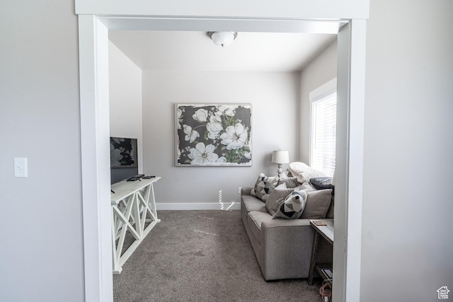 16 N 1000 E, Hyde Park, UT 84318 - sitting room with carpet floors and baseboards