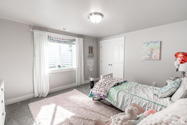 16 N 1000 E, Hyde Park, UT 84318 - bedroom featuring carpet floors and a closet