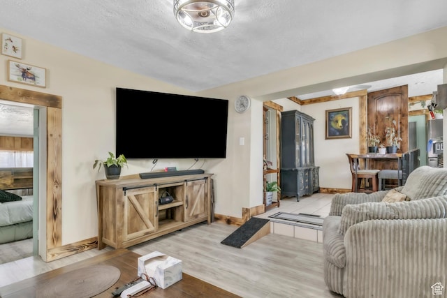586 W 300 N, Fountain Green, UT 84632 - living room with light wood finished floors and a textured ceiling