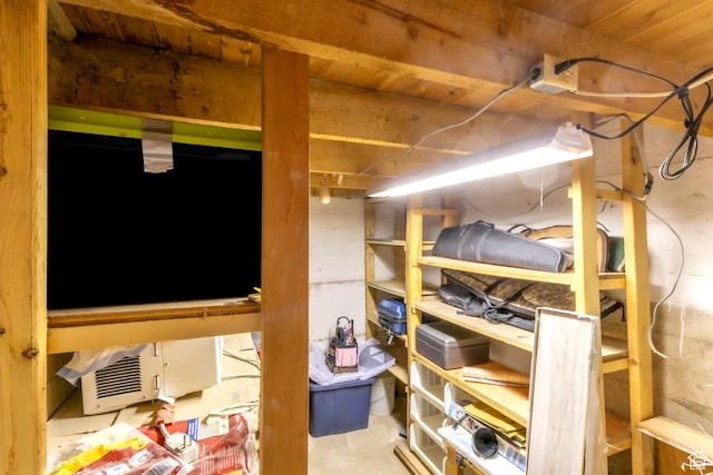 586 W 300 N, Fountain Green, UT 84632 - view of storage area