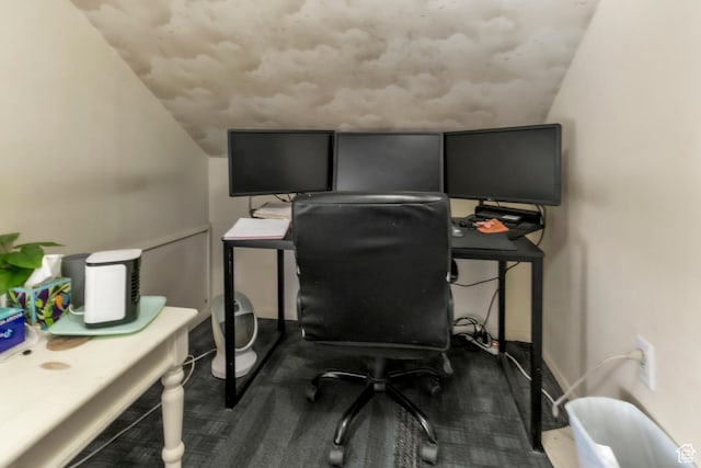 586 W 300 N, Fountain Green, UT 84632 - office space featuring lofted ceiling and carpet flooring