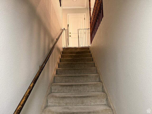 1360 S Carterville Rd, Orem, UT 84097 - photo 56