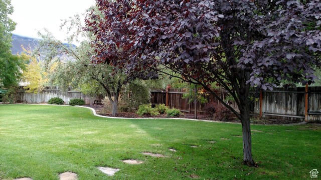 1360 S Carterville Rd, Orem, UT 84097 - photo 12