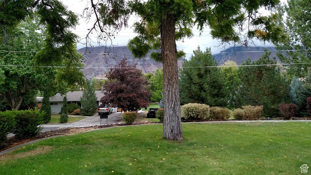 1360 S Carterville Rd, Orem, UT 84097 - photo 16