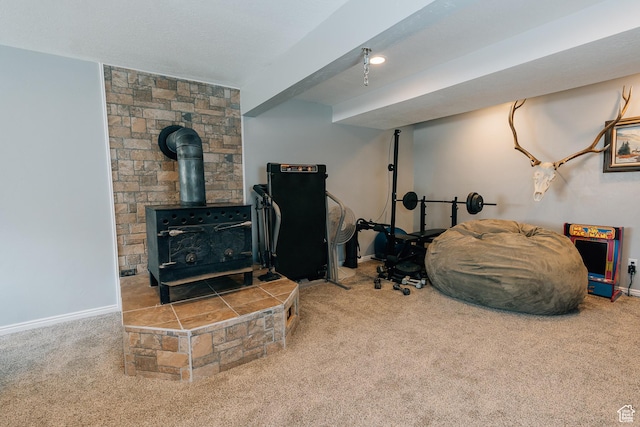 496 S 3rd E, Preston, ID 83263 - living area featuring carpet and a wood stove