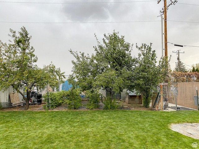 496 S 3rd E, Preston, ID 83263 - view of yard