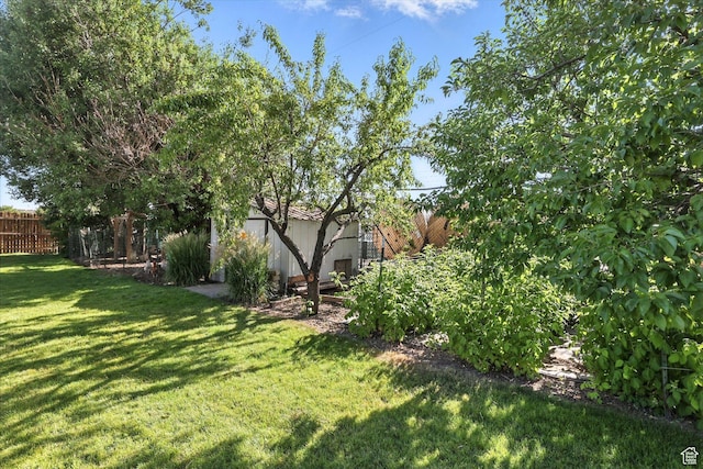 496 S 3rd E, Preston, ID 83263 - view of yard