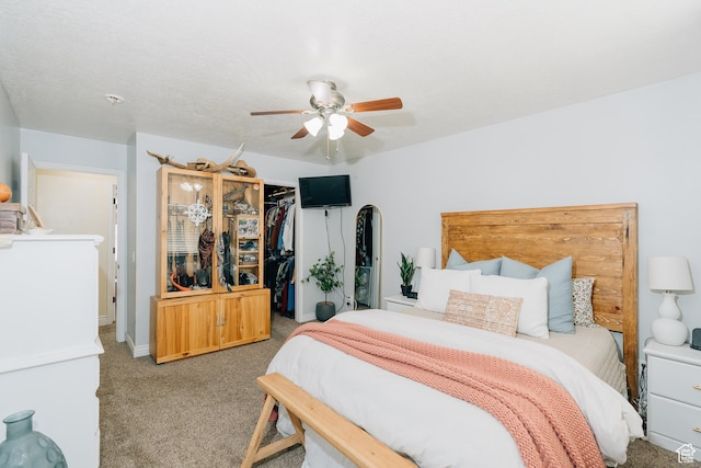 496 S 3rd E, Preston, ID 83263 - carpeted bedroom with a closet, a ceiling fan, and a walk in closet