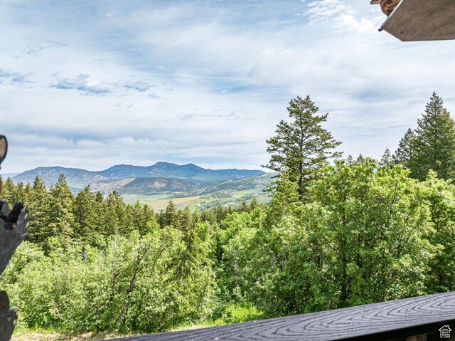 9070 Cougar Rd, Lava Hot Springs, ID 83246 - photo 10