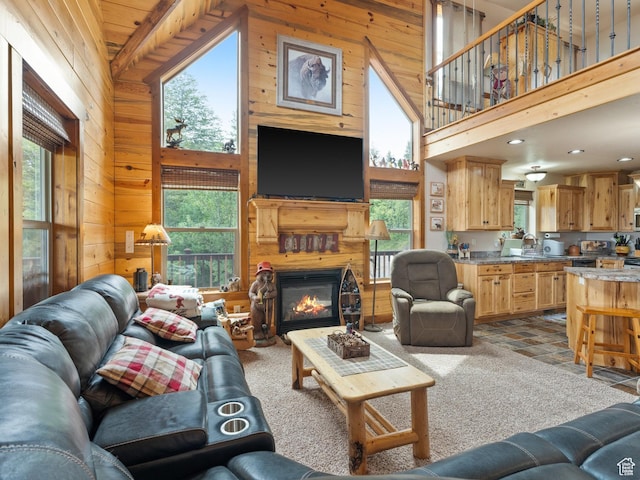 9070 Cougar Rd, Lava Hot Springs, ID 83246 - photo 13