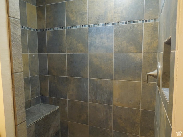 426 N Amber Ln N Unit 426, Castle Valley, UT 84532 - full bath with tiled shower