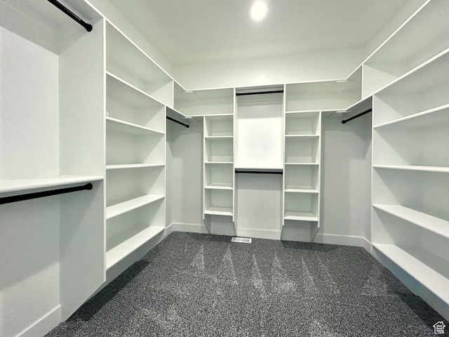 82 N 500 W, Gunnison, UT 84634 - spacious closet featuring dark colored carpet