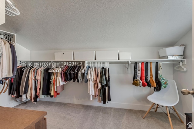 9757 N Aaron Ave E Unit 204, Eagle Mountain, UT 84005 - spacious closet with carpet