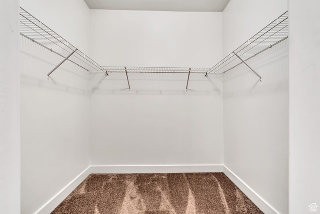 776 N 260 W, Vineyard, UT 84059 - walk in closet with carpet flooring