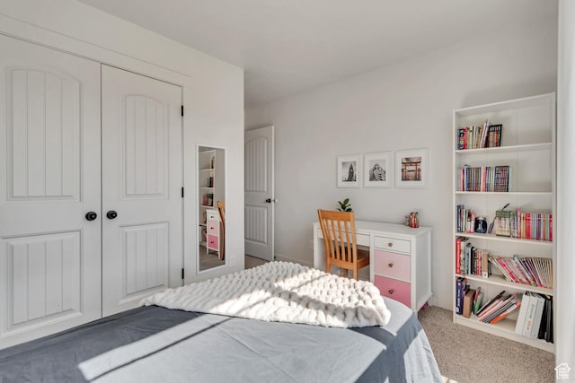 442 N Cowan Cir E, Payson, UT 84651 - carpeted bedroom featuring a closet