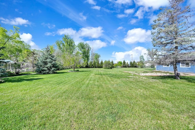 3139 N Pelican Dr, Farr West, UT 84404 - view of green lawn