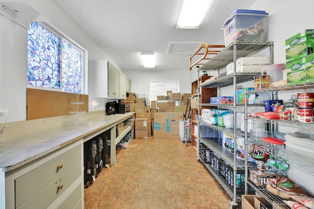 3139 N Pelican Dr, Farr West, UT 84404 - view of storage room