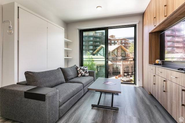2670 Canyons Resort Dr Unit 214, Park City, UT 84098 - living area with dark wood-type flooring