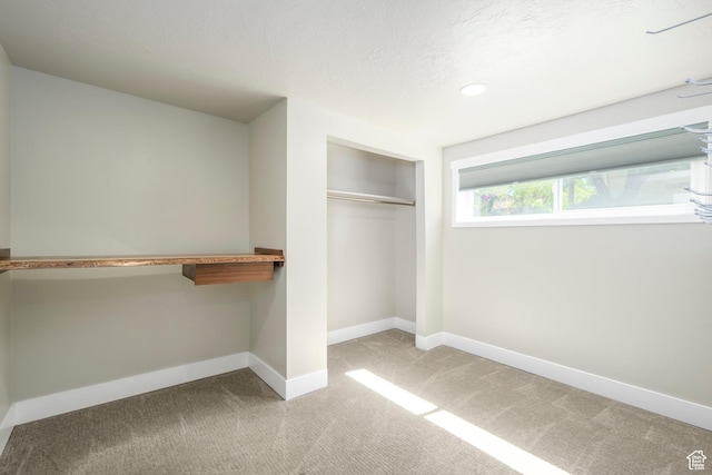 5729 S 150 W, Murray, UT 84107 - spacious closet with carpet