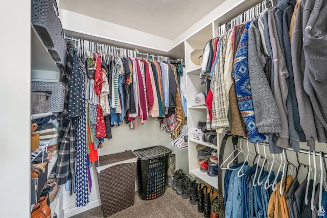 5183 W Heartland Cv, Herriman, UT 84096 - walk in closet with carpet