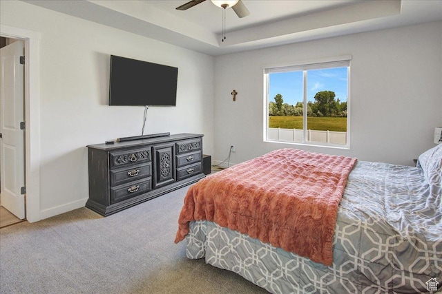 2106 W 2000 N, Farr West, UT 84404 - carpeted bedroom with a tray ceiling and ceiling fan