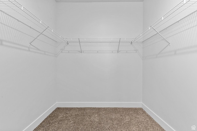3667 W Canyon Falls Dr Unit S301, Lehi, UT 84043 - spacious closet featuring carpet