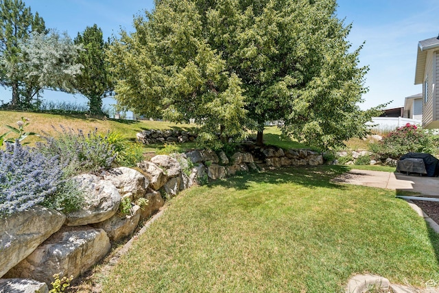 2401 N 1400 E, Layton, UT 84040 - view of grassy yard with a patio