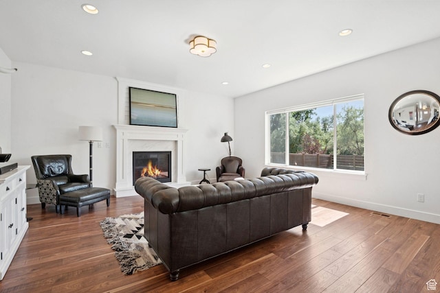 67 N 300 E, Vineyard, UT 84059 - living area with dark wood-type flooring, a fireplace, and recessed lighting
