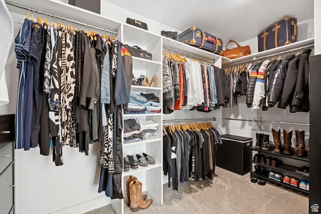 67 N 300 E, Vineyard, UT 84059 - spacious closet with carpet flooring