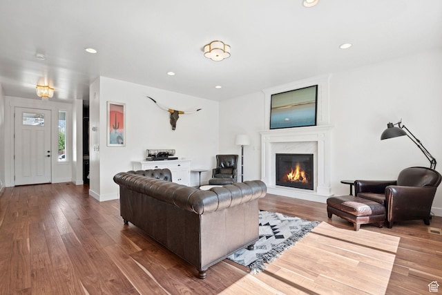 67 N 300 E, Vineyard, UT 84059 - living area featuring hardwood / wood-style floors, a premium fireplace, and recessed lighting