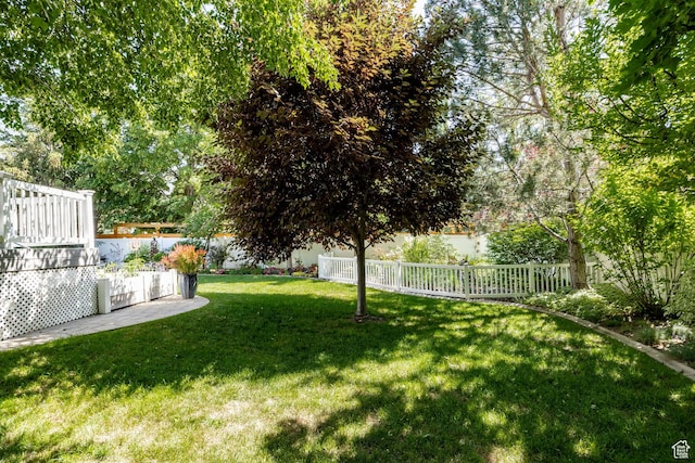 19 S Snowstar Ln, Sandy, UT 84092 - photo 46