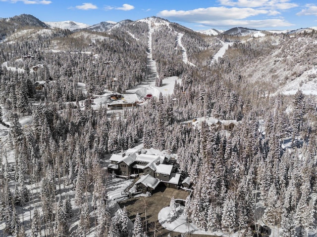 2475 W White Pine Ln Unit 11, Park City, UT 84060 - photo 33