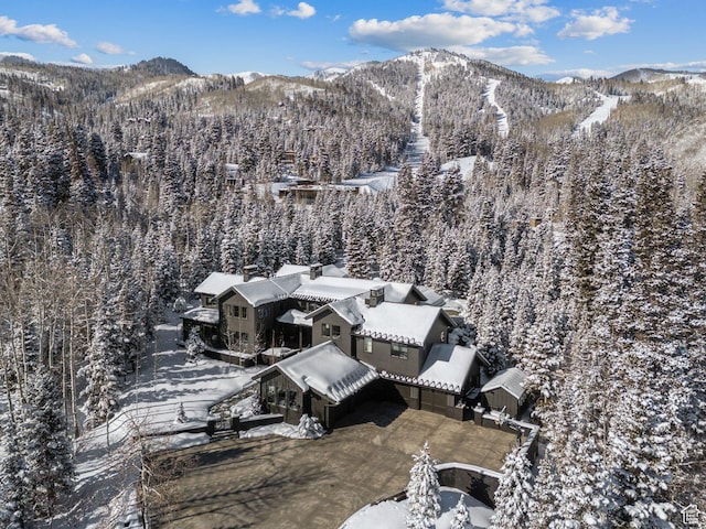 2475 W White Pine Ln Unit 11, Park City, UT 84060 - photo 31
