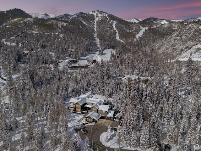 2475 W White Pine Ln Unit 11, Park City, UT 84060 - photo 35