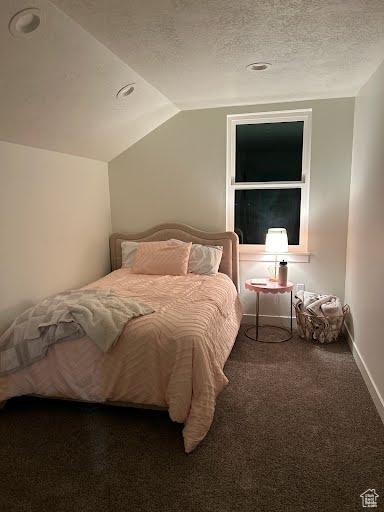225 W 400 S, Ephraim, UT 84627 - bedroom with carpet, vaulted ceiling, and a textured ceiling