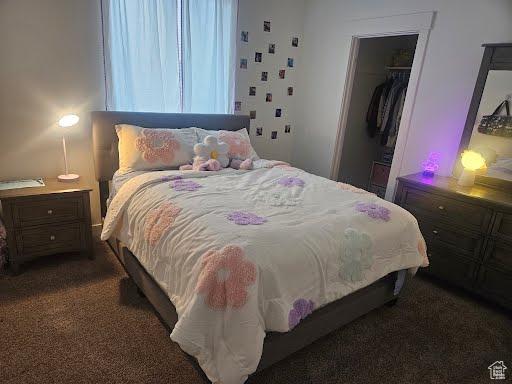 225 W 400 S, Ephraim, UT 84627 - carpeted bedroom with a closet