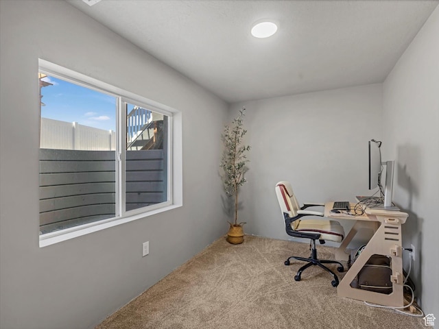 406 W Tesla Ct, Grantsville, UT 84029 - home office featuring carpet flooring