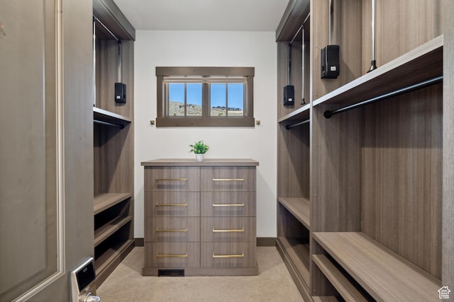 1467 N Chimney Rock Rd, Heber City, UT 84032 - walk in closet with carpet