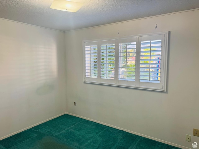 230 E 300 S, Ephraim, UT 84627 - unfurnished room featuring carpet flooring and a textured ceiling