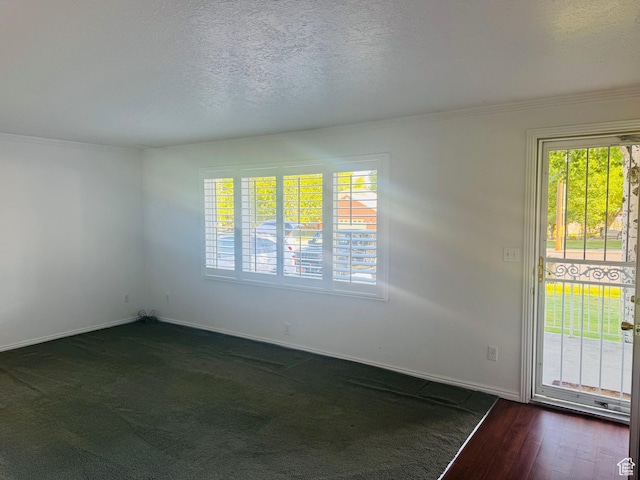 230 E 300 S, Ephraim, UT 84627 - spare room with crown molding, a textured ceiling, and dark wood-style floors